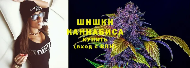 Каннабис SATIVA & INDICA  как найти наркотики  blacksprut рабочий сайт  Нальчик 